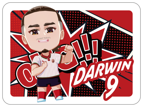 Lunchbox Darwin