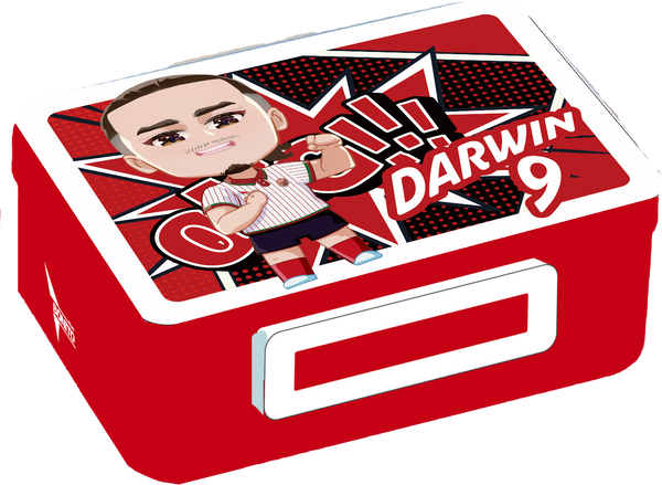 Lunchbox Darwin